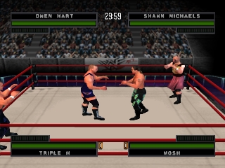 WWF War Zone